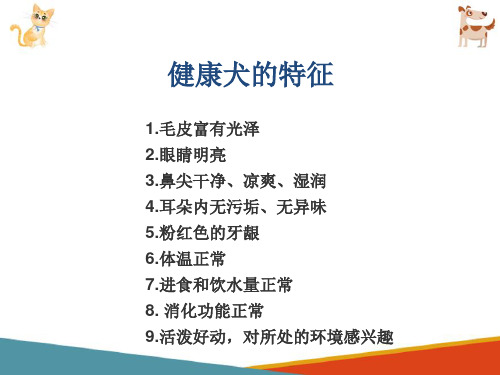 宠物美容基础知识—犬、猫的体型结构及保定技巧(宠物美容课件)