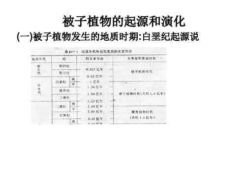 被子植物的起源和演化(一)被子植物发生的地质时期：白垩...