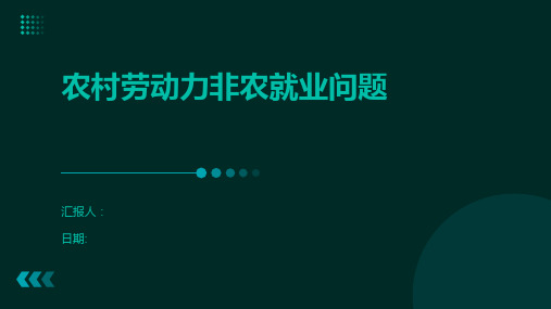 农村劳动力非农就业问题