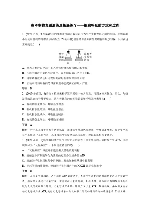 高考生物真题演练及拓展练习——细胞呼吸的方式和过程