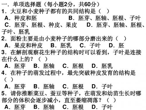 第五章绿色植物的一生 练习