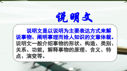 11中国石拱桥实用PPT课件