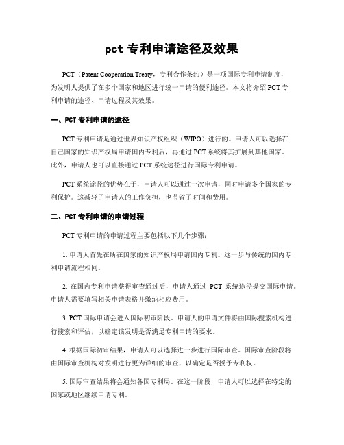 pct专利申请途径及效果