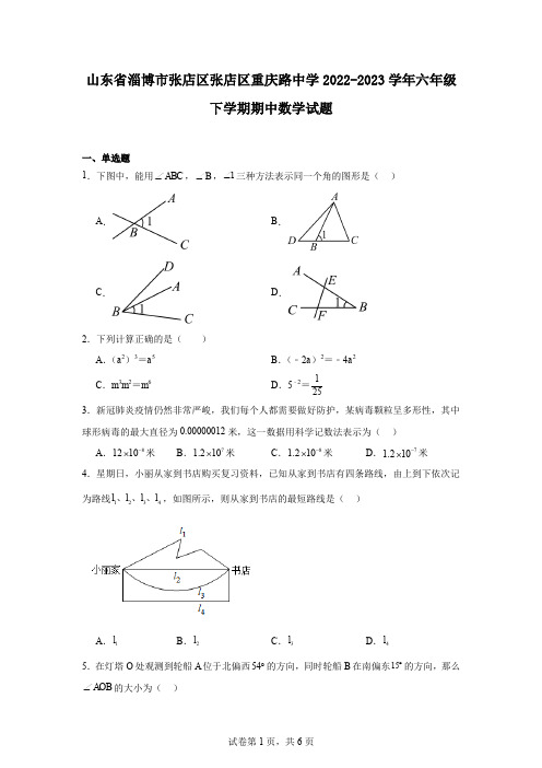 山东省淄博市张店区张店区重庆路中学2022-2023学年六年级下学期期中数学试题