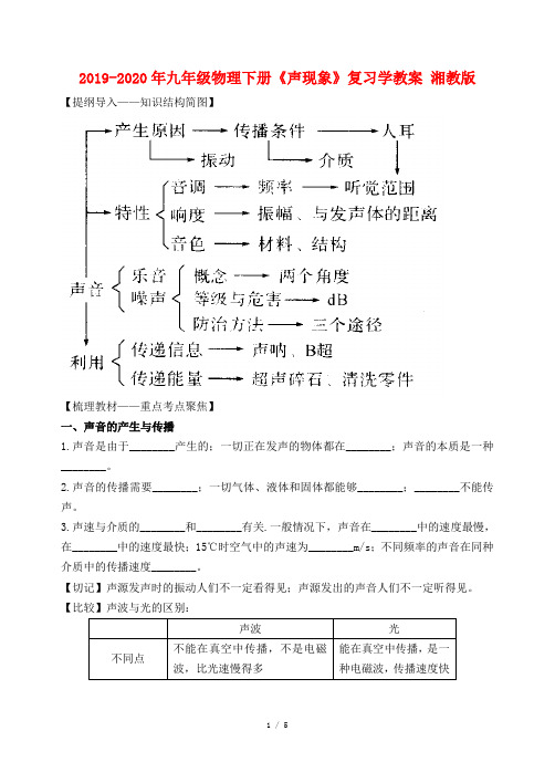 2019-2020年九年级物理下册《声现象》复习学教案 湘教版