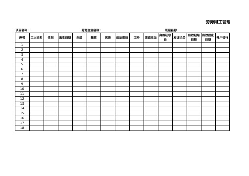 劳务用工管理台账-标准模板