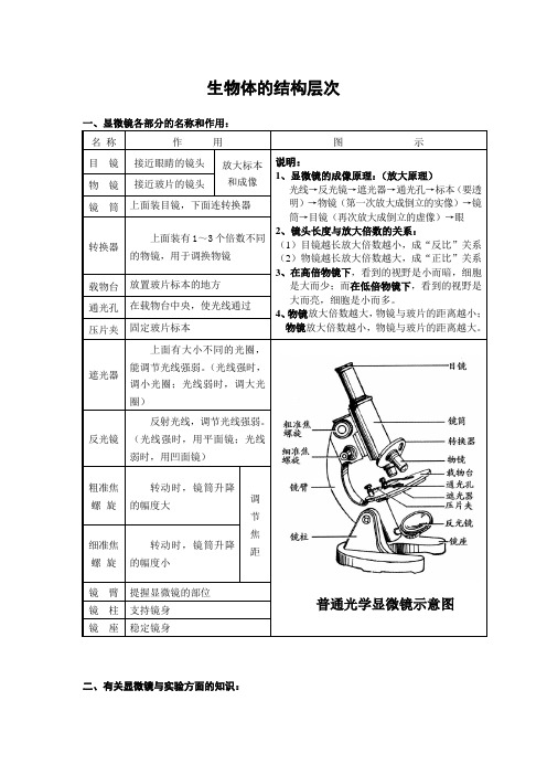 (完整word版)生物体的结构层次知识点