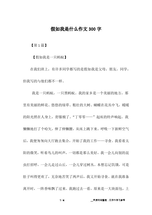 假如我是什么作文300字