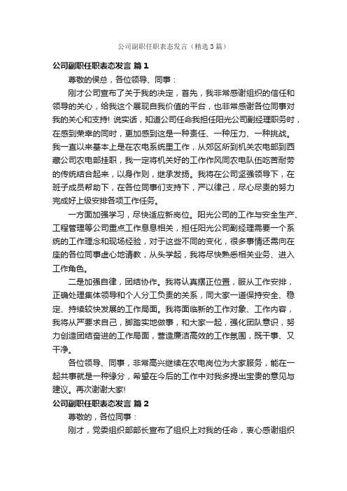 公司副职任职表态发言（精选3篇）