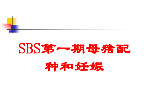 SBS第一期母猪配种和妊娠培训课件