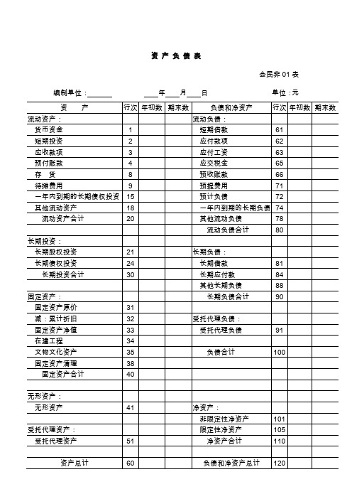 民间非营利组织会计报表