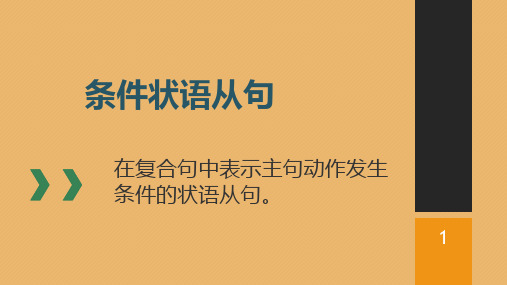 中考英语  条件状语从句专项课件