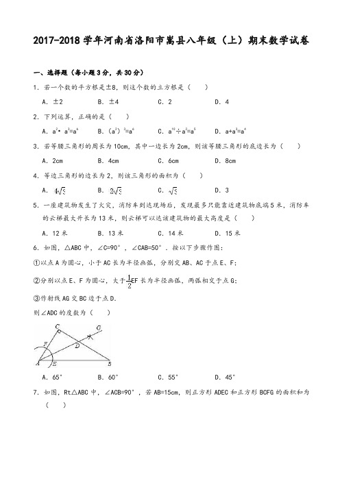 洛阳市嵩县八年级上期末数学试卷(有答案)-精华版