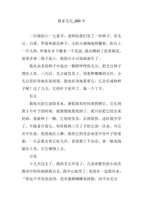 我家毛豆_600字