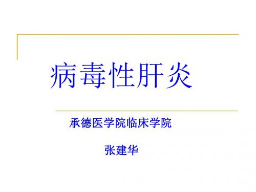 病毒性肝炎2ppt共87页文档