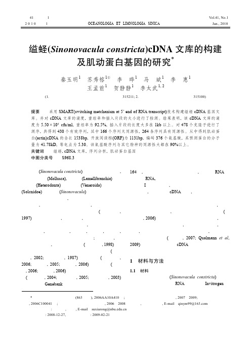 缢蛏 (Sinonovacula constricta) cDNA 文库的构建 及肌动蛋白基因的研究