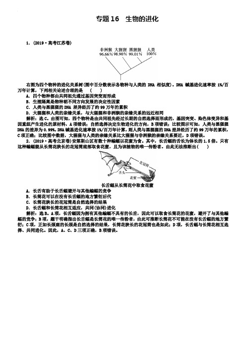 2019年高考生物真题集锦【专题16】生物的进化(含答案)