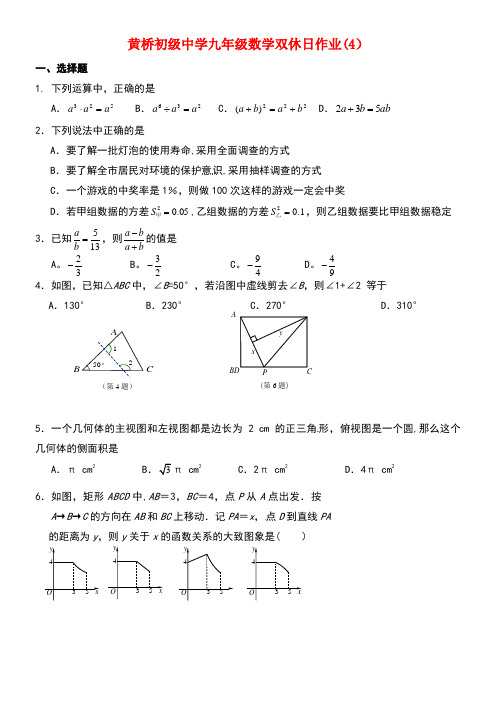 江苏省泰兴市黄桥镇九年级数学下学期双休日作业(4)(无答案)