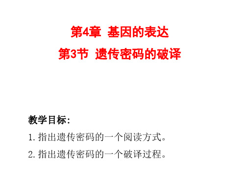 4.3遗传密码的破译人教版高中生物必修二课件(共28张PPT)