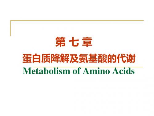 8.蛋白质降解及氨基酸代谢