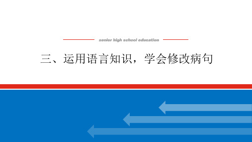 2024年高考语文备考：运用语言知识,学会修改病句