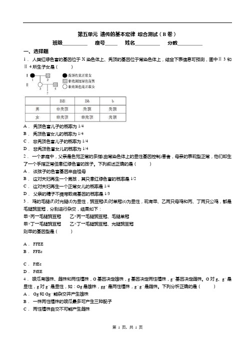 2020年高考生物  遗传的基本定律 综合测试(B卷)