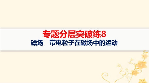 新高考新教材高考物理二轮复习专题分层突破练8磁场带电粒子在磁场中的运动pptx课件