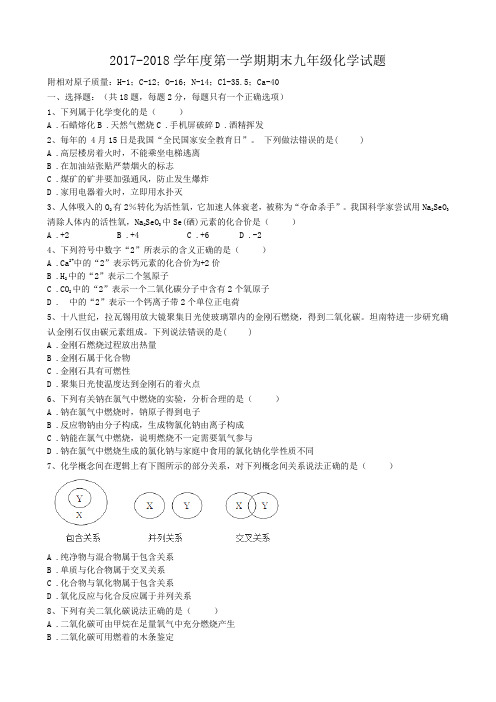 安徽省阜南县赵集镇大聂中学2017-2018学年度第一学期期末九年级化学试题(word版无答案)