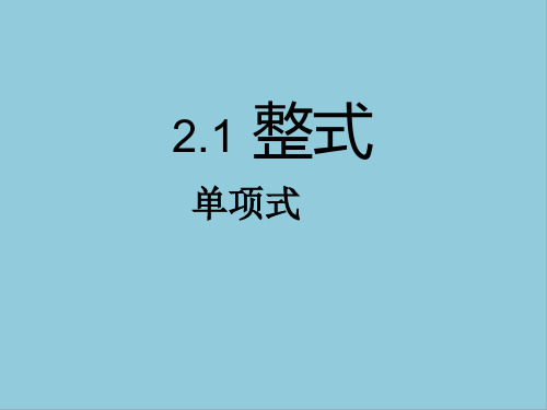 人教版七年级上册数学第二章整式的加减课件PPT(4)