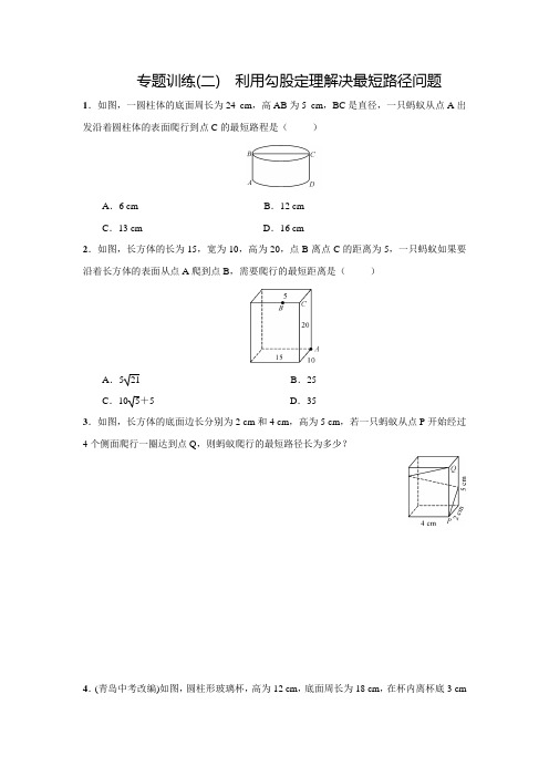 北师大版八年级数学上名校课堂专题训练(二)(含答案)