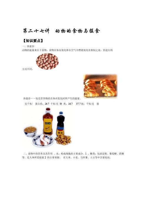 中考科学 动物的食物与摄食