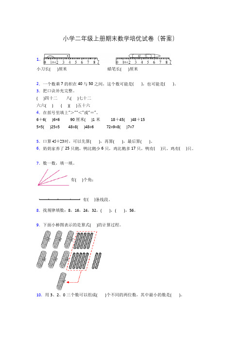 小学二年级上册期末数学培优试卷(答案)