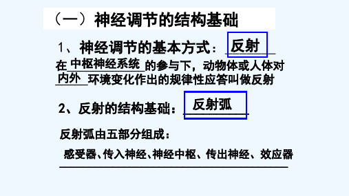 秋人教版高中生物必修3第二章第1节 通过神经系统的调节(共27张PPT)[可修改版ppt]