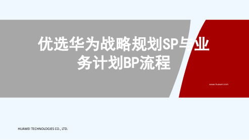 优选华为战略规划SP与业务计划BP流程[可修改版ppt]