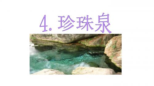 4珍珠泉