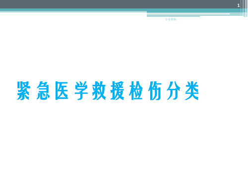 紧急医学救援检伤分类(六)(行业精制)