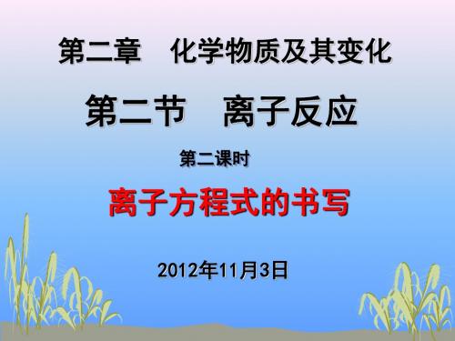 化学人教版高中必修1人教版 化学必修1 第二章第二节 离子反应第二课时 ppt