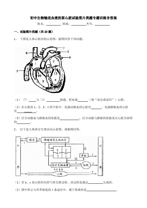 初中生物输送血液的泵心脏试验图片类题专题训练含答案