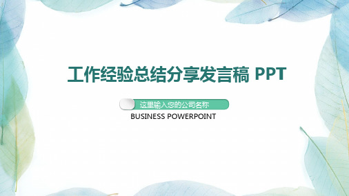 工作经验总结分享发言稿 PPT