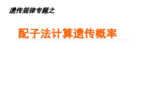 高中生物遗传规律专题之配子法计算遗传概率