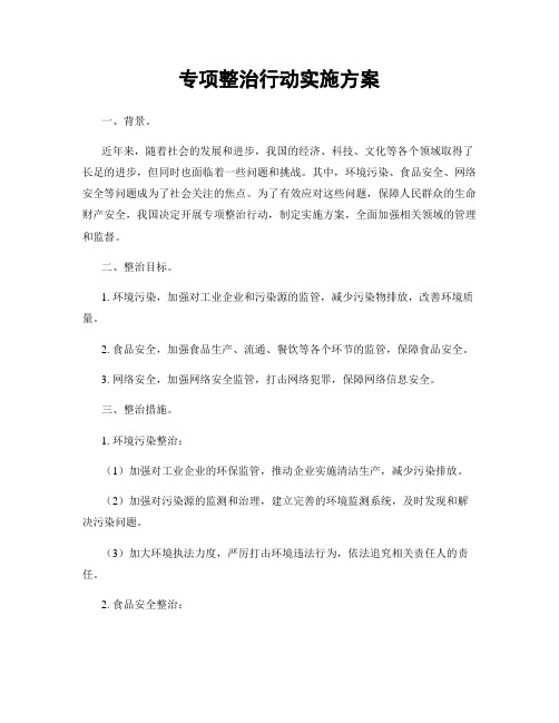 专项整治行动实施方案