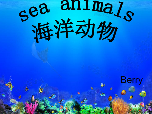 幼儿小学英语—海洋动物 Sea animalsppt课件