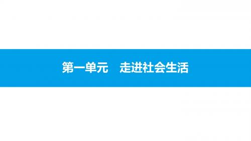 部编人教版八年级道德与法治上册1.1《我与社会》复习课件