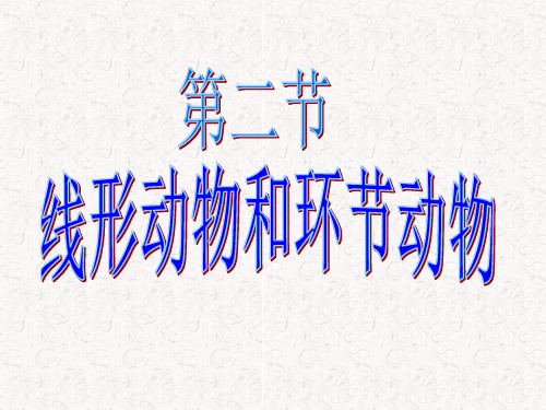 二、线形动物和环节动物PPT课件