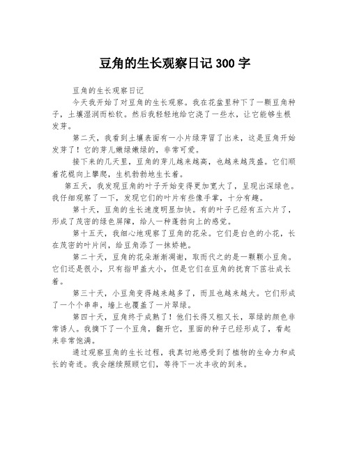 豆角的生长观察日记300字