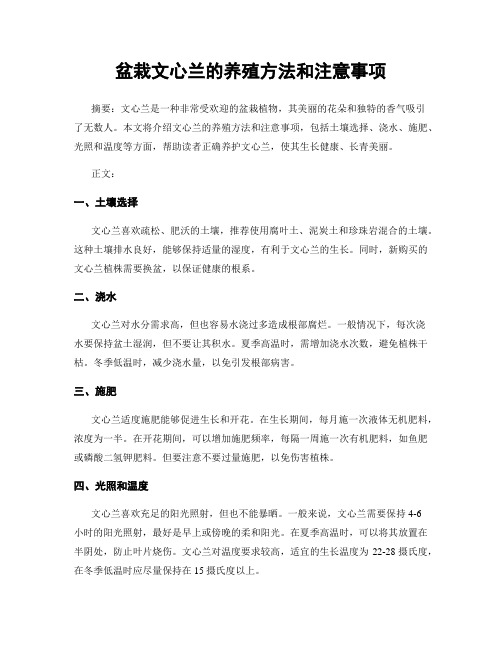 盆栽文心兰的养殖方法和注意事项