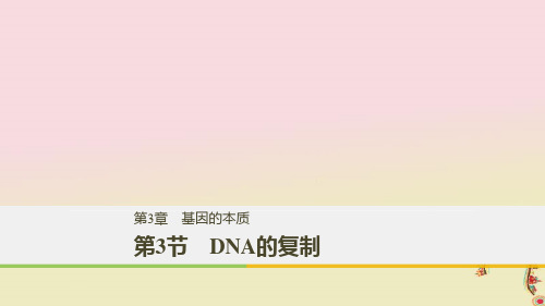 高中生物第三章基因的本质第3节DNA的复制课件新人教版必修2