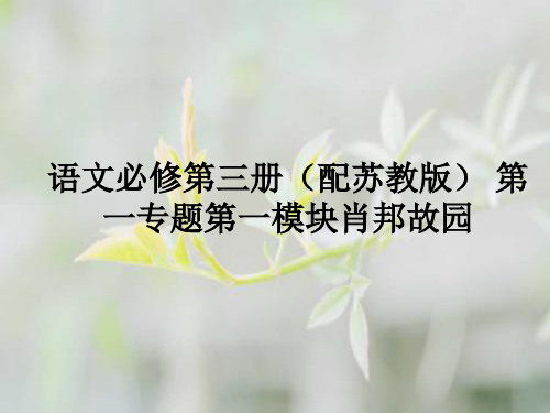 苏教版肖邦故园PPT教学课件_1