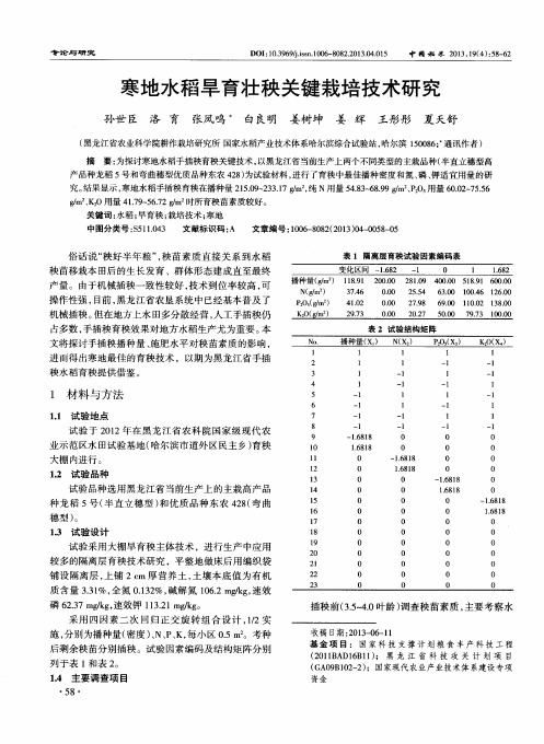 寒地水稻旱育壮秧关键栽培技术研究