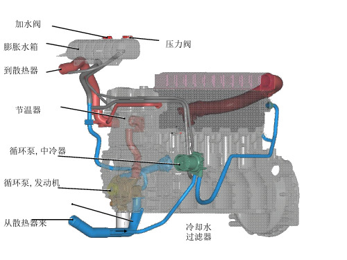 柴油机冷却系统